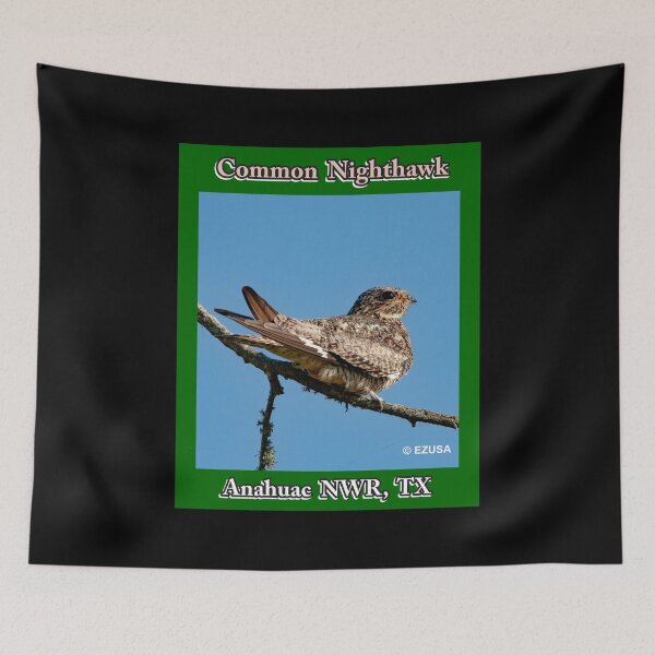 Item preview, Give Someone You Love The Bird: Common Nighthawk, Anahuac NWR, Texas designed and sold by MoreEZUSA-Here.