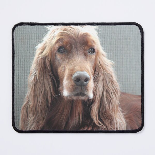 Item preview, Irish Setter Lost in Thought designed and sold by Mythen.