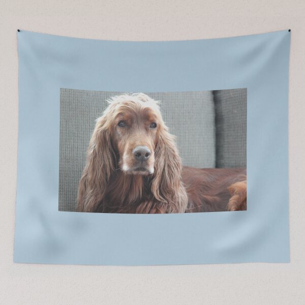 Item preview, Setter irlandés perdido en sus pensamientos designed and sold by Mythen.