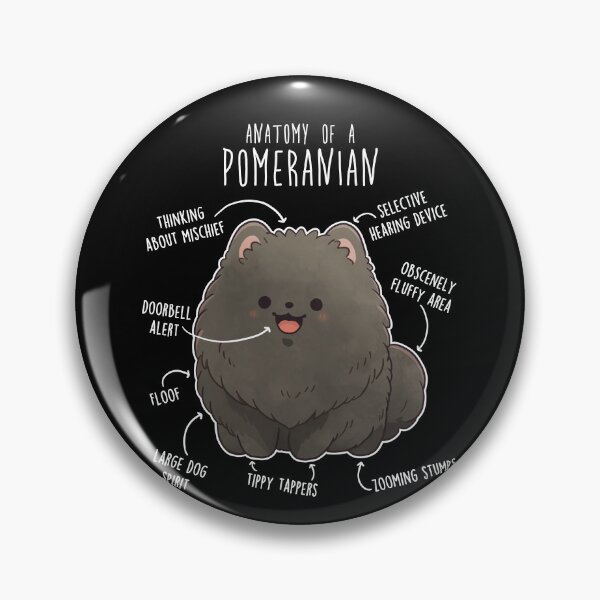 Item preview, Black Pomeranian Dog Anatomy designed and sold by Clara Hollins.