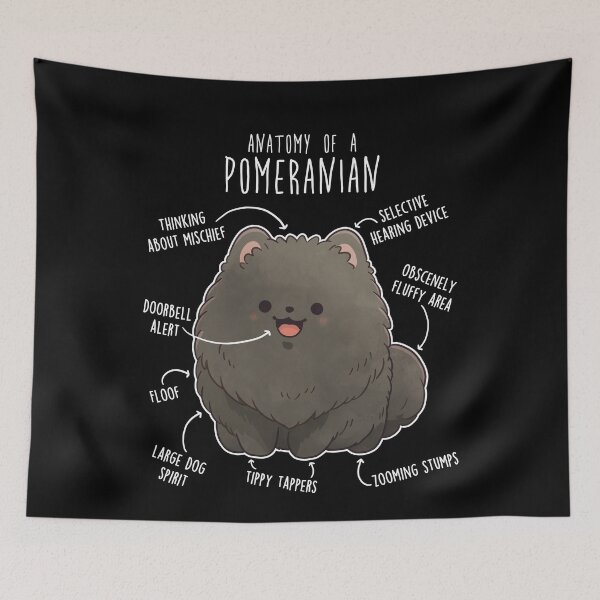 Item preview, Black Pomeranian Dog Anatomy designed and sold by Clara Hollins.