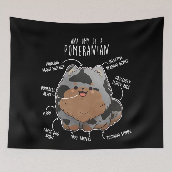 Item preview, Blue Merle Pomeranian Dog Anatomy designed and sold by Clara Hollins.