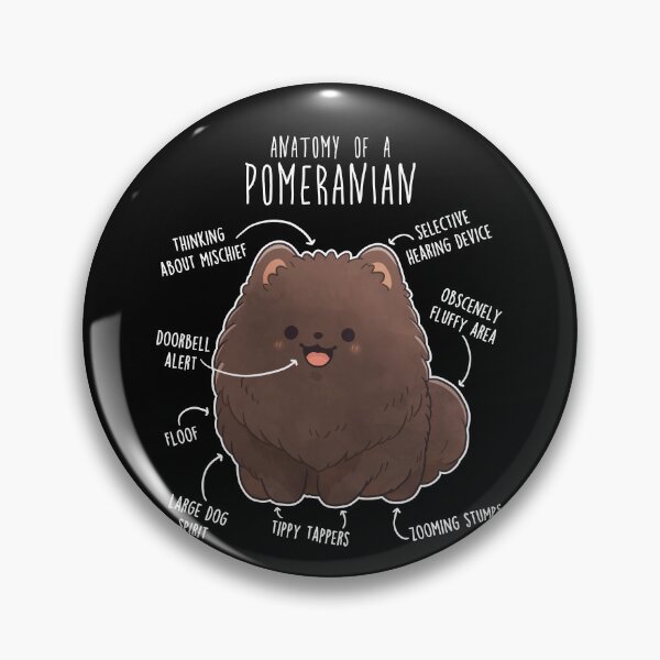 Item preview, Chocolate Pomeranian Dog Anatomy designed and sold by Clara Hollins.