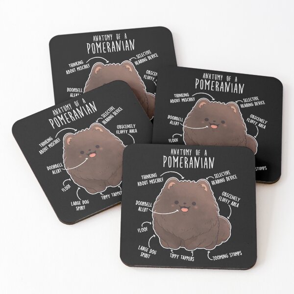 Item preview, Chocolate Pomeranian Dog Anatomy designed and sold by Clara Hollins.
