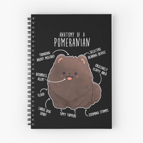Item preview, Chocolate Pomeranian Dog Anatomy designed and sold by Clara Hollins.