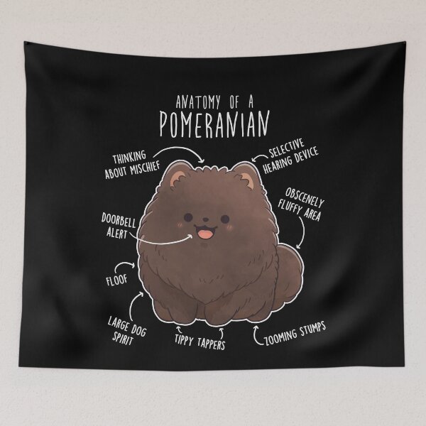 Item preview, Chocolate Pomeranian Dog Anatomy designed and sold by Clara Hollins.