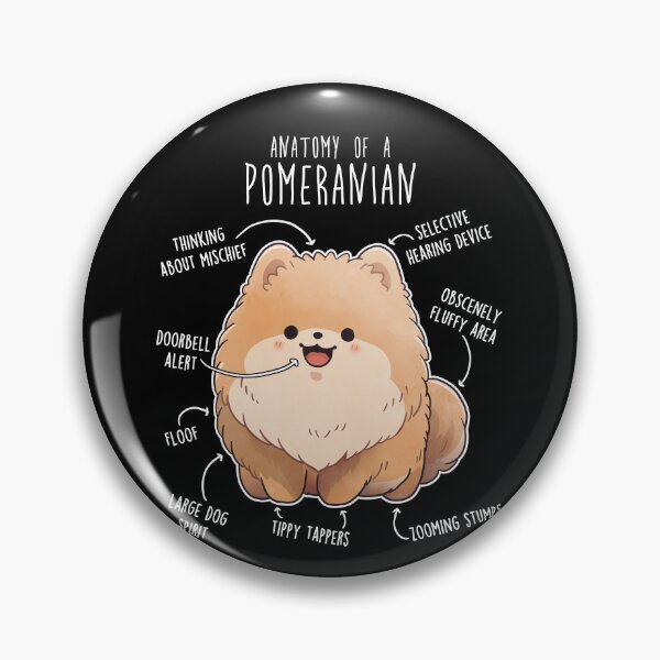 Item preview, Orange Pomeranian Dog Anatomy designed and sold by Clara Hollins.