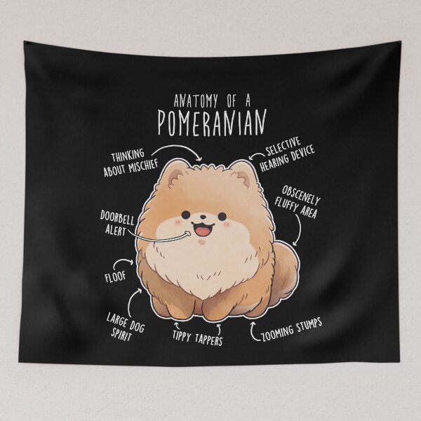 Item preview, Orange Pomeranian Dog Anatomy designed and sold by Clara Hollins.