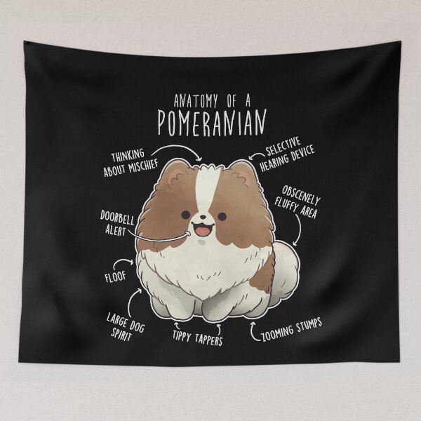 Item preview, Parti Pomeranian Dog Anatomy designed and sold by Clara Hollins.
