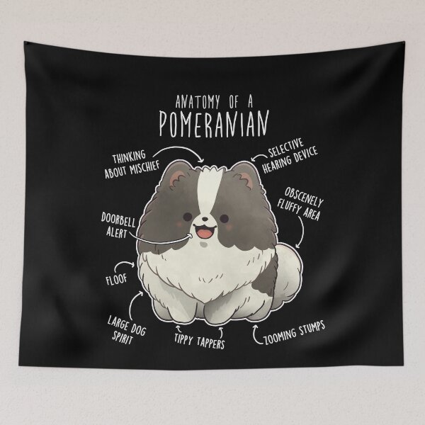 Item preview, Parti Pomeranian Dog Anatomy designed and sold by Clara Hollins.