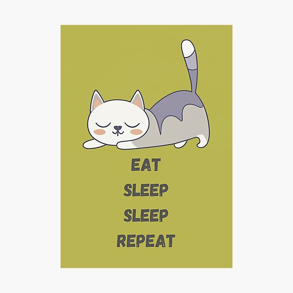 Item preview, Eat, Sleep, Sleep, Repeat designed and sold by Byreign.