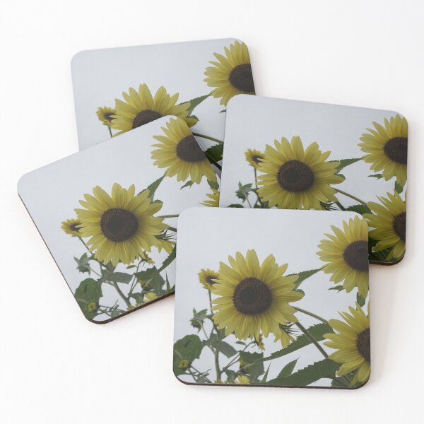Item preview, Sunflower Photography  designed and sold by lizzythelizard1.