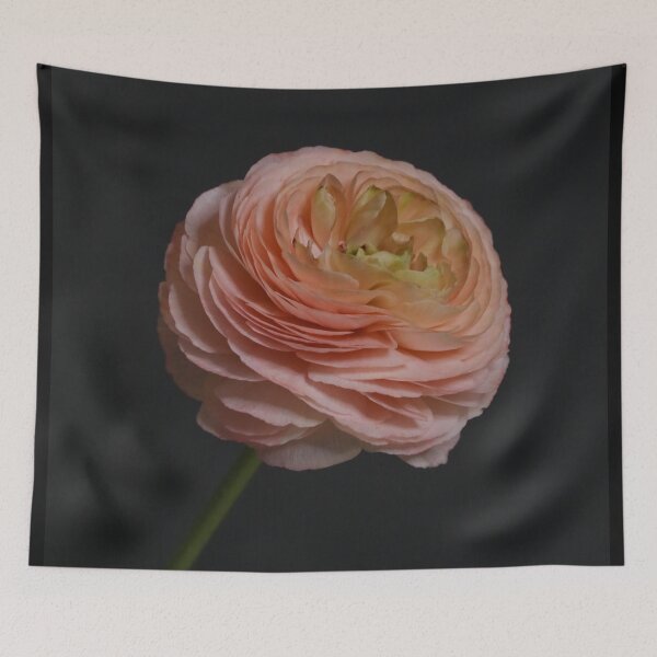 Item preview, Pink Ranunculus designed and sold by Thomas Bugarin.