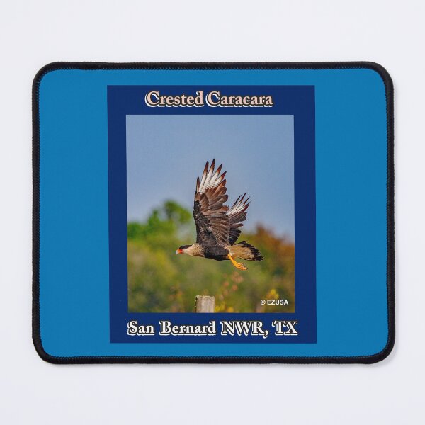 Item preview, Give The Bird To Your Lover: Crested Caracara, San Bernard NWR, Texas designed and sold by MoreEZUSA-Here.