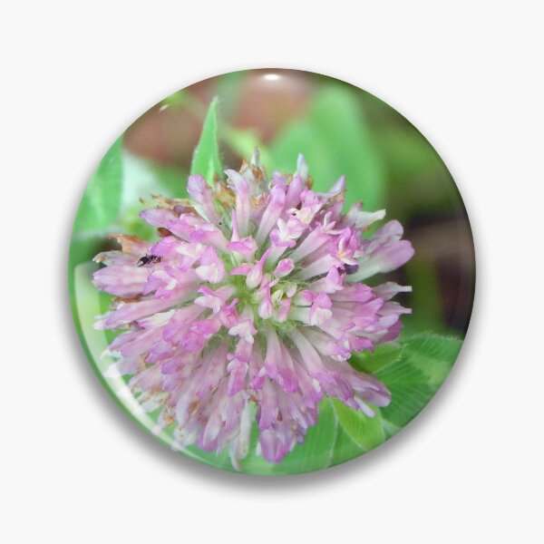 Item preview, Red Clover designed and sold by gistinker.