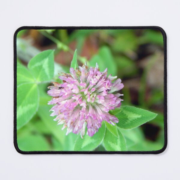 Item preview, Red Clover designed and sold by gistinker.