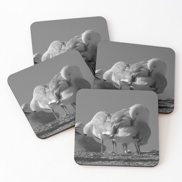 Item preview, seagulls. bicheno, eastcoast tasmania designed and sold by bodhiimages.
