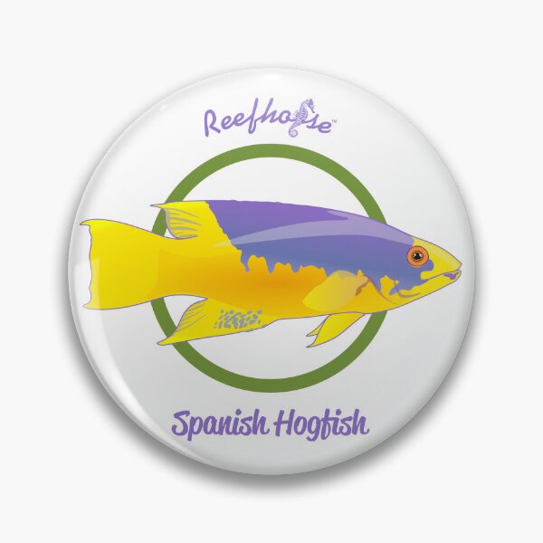 Item preview, Spanish Hogfish designed and sold by KaplanCrypto.