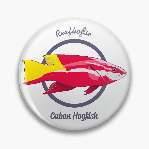 Item preview, Cuban Hogfish designed and sold by KaplanCrypto.