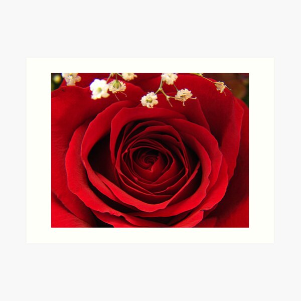 Layers Of Red Art Print