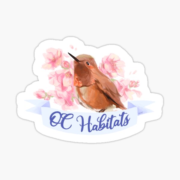 Allen's Hummingbird (2022) OC Habitats Sticker