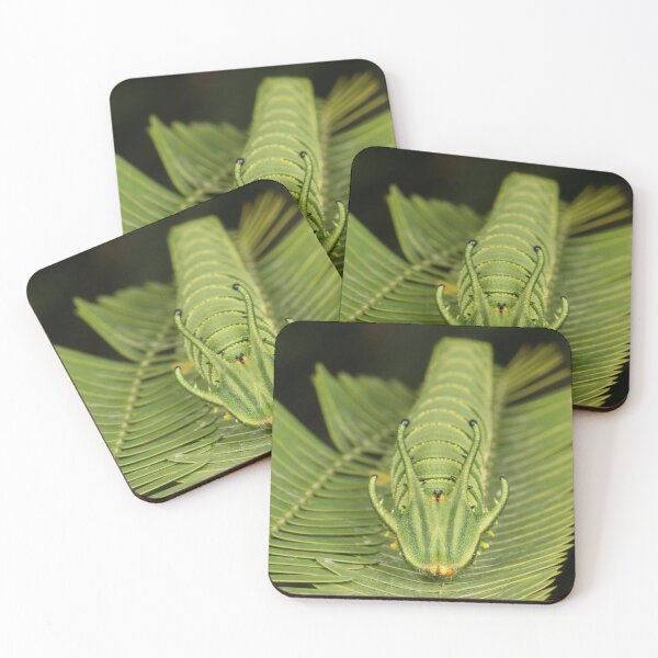Item preview, Pallid Nawab Butterfly Dragonhead Caterpillar 1 designed and sold by itchydogimages.