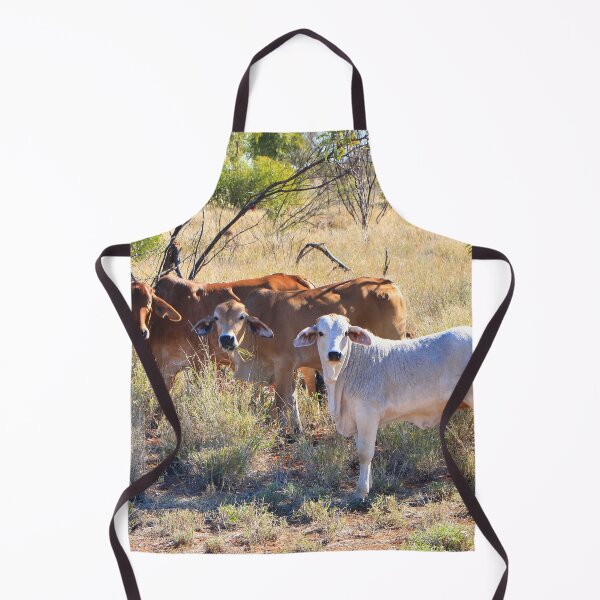 Item preview, Brahman cattle, Northern Territory, Outback Australia designed and sold by FranWest.
