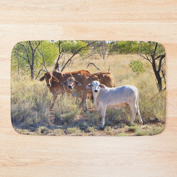 Item preview, Brahman cattle, Northern Territory, Outback Australia designed and sold by FranWest.