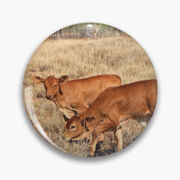 Item preview, Young calves, Northern Territory, Outback Australia designed and sold by FranWest.