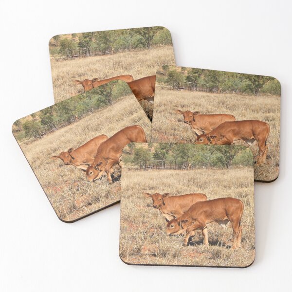 Item preview, Young calves, Northern Territory, Outback Australia designed and sold by FranWest.