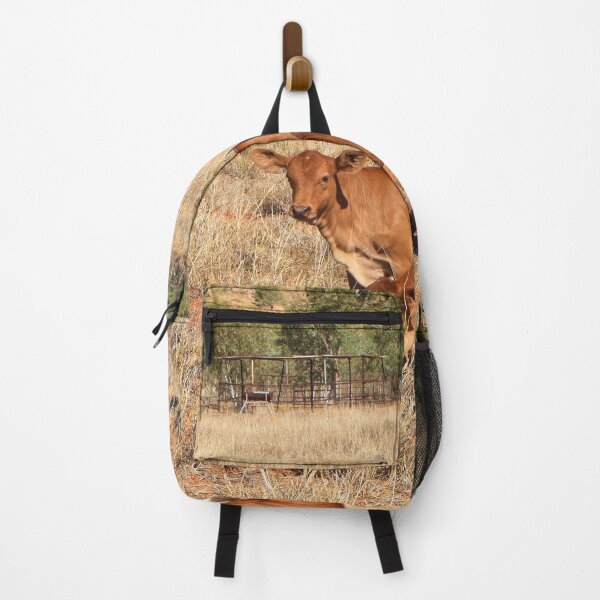 Item preview, Young calves, Northern Territory, Outback Australia designed and sold by FranWest.