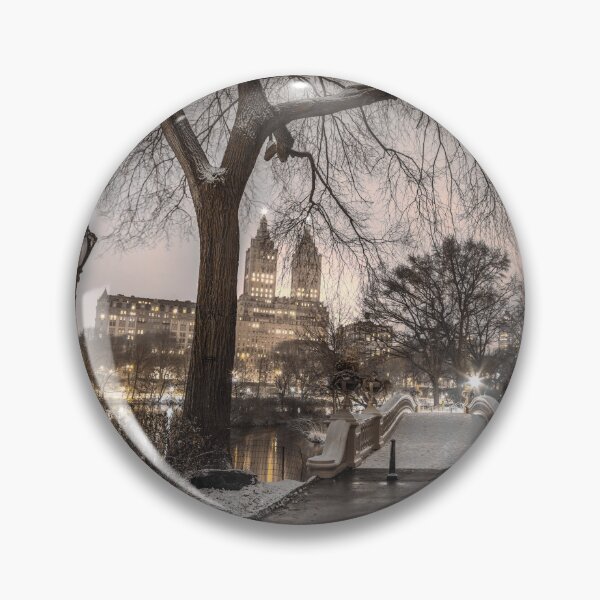 Item preview, Evening Gaze of Central Park designed and sold by assaf.