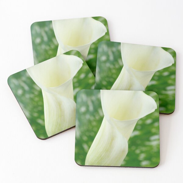 Item preview, Zantedeschia  'Black Eyed Beauty'  Arum lily  designed and sold by Chris Burrows.