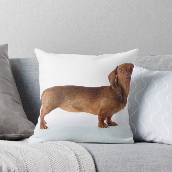 Item preview, Lovable Dachshund designed and sold by assaf.