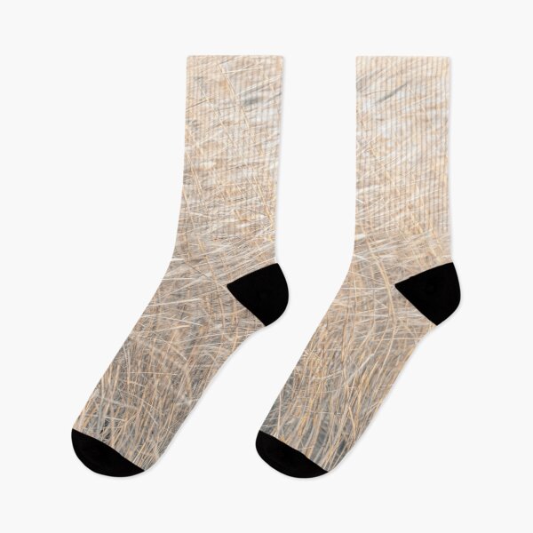 Item preview, Brown Reeds designed and sold by assaf.