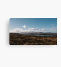 Wild Donegal Canvas Print