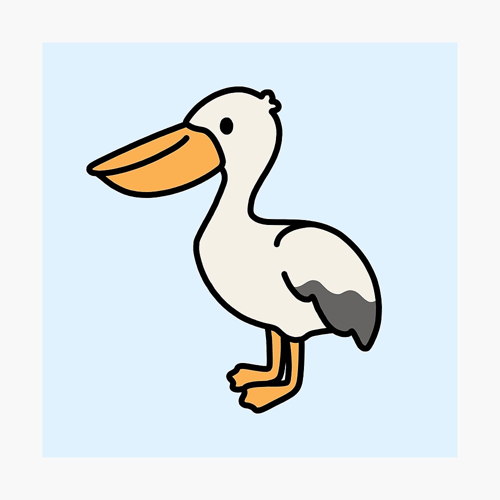 Pelican Poster