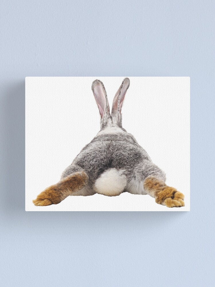 bunny plush pillow