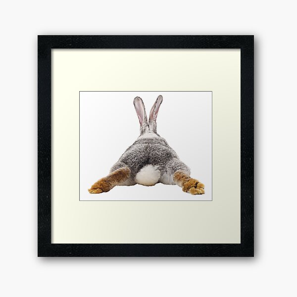 Cute Bunny Rabbit Tail Butt Image Picture Framed Art Print