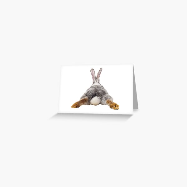 Cute Bunny Rabbit Tail Butt Image Picture  Greeting Card