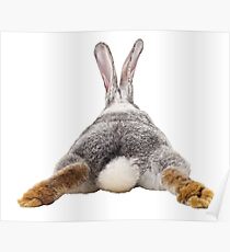 Cute Bunny Rabbit Schwanz Hintern Bild Bild Poster