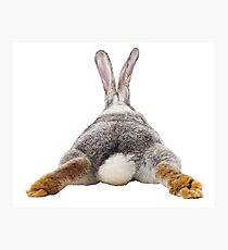 Cute Bunny Rabbit Schwanz Hintern Bild Bild Fotodruck