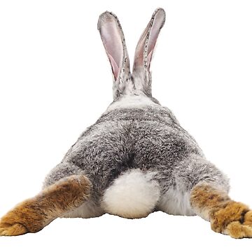 Artwork thumbnail, Cute Bunny Rabbit Tail Butt Image Picture by ColorFlowArt