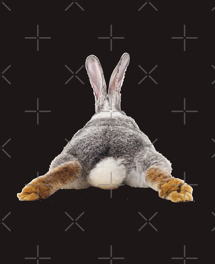 Cute Bunny Rabbit Tail Butt Image Picture Ipad Case Skin By Colorflowart Redbubble