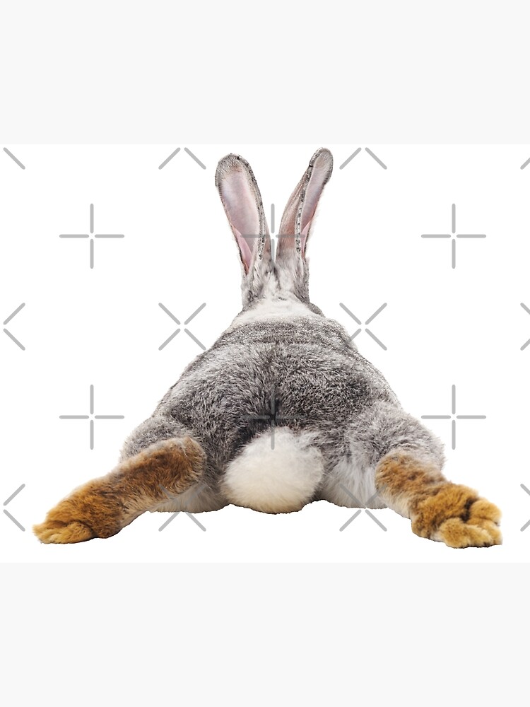 girl with bunny tail butt  Art Board Print for Sale by  ColorFlowArt | Redbubble