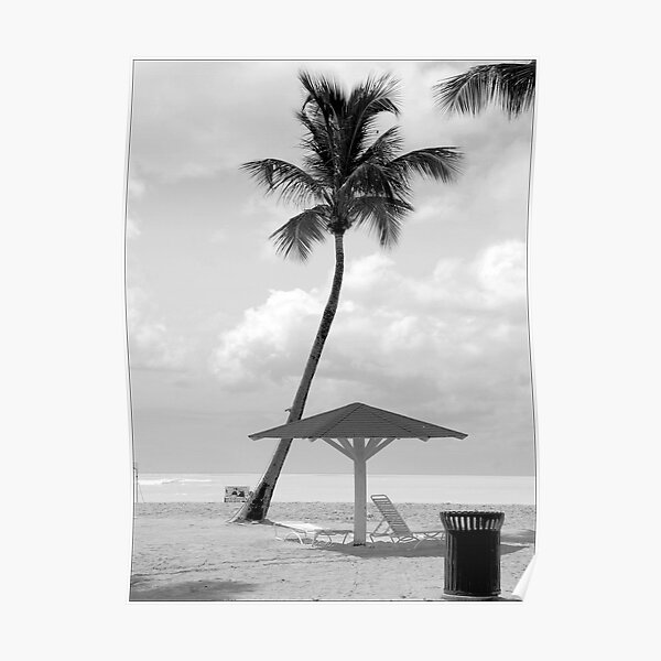 Gray Shade Poster