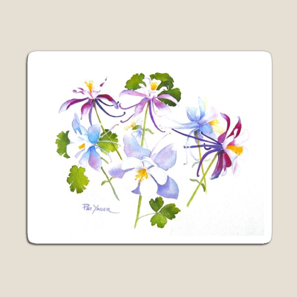 Shooting Stars Magnet