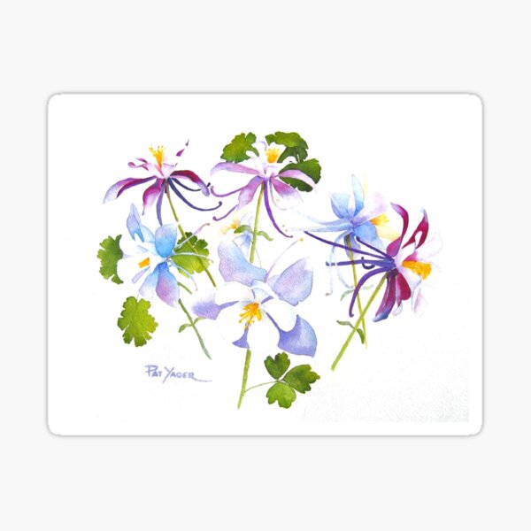 Shooting Stars Sticker