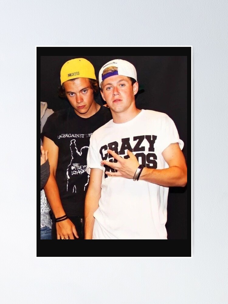 Harry & Niall Frat Boy Era Frat Boy Direction Harry And Niall, One Love On  Tour harry styles Poster for Sale by Bankulovaa