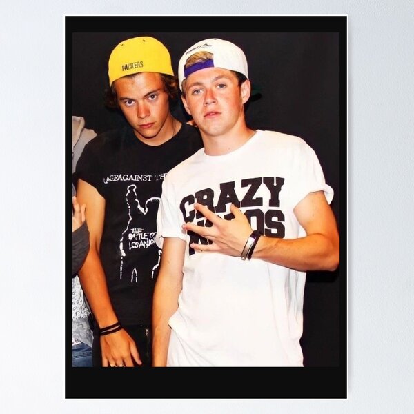 Harry et Niall Frat Boy Era Frat Boy Direction Harry et Niall, One Love On Tour harry styles Poster
